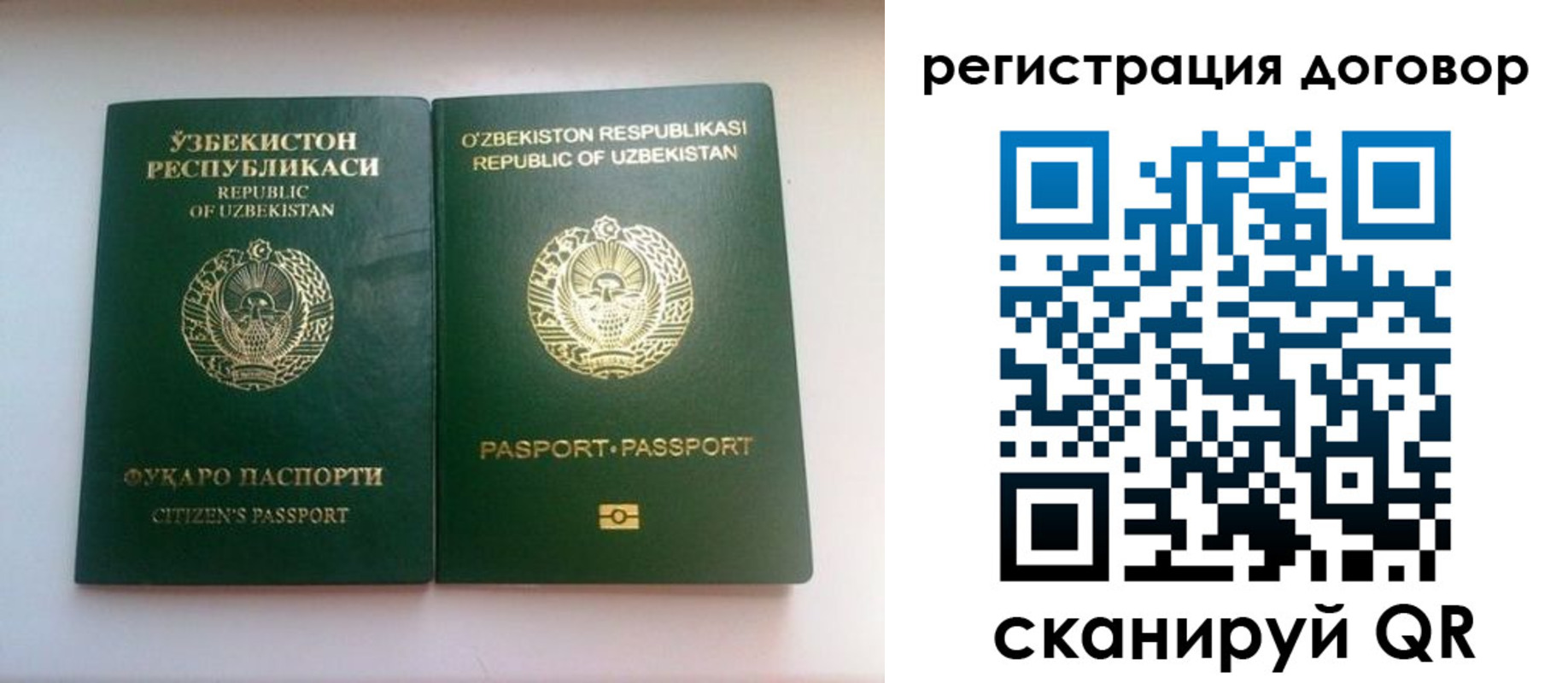 прописка в Куртамыше